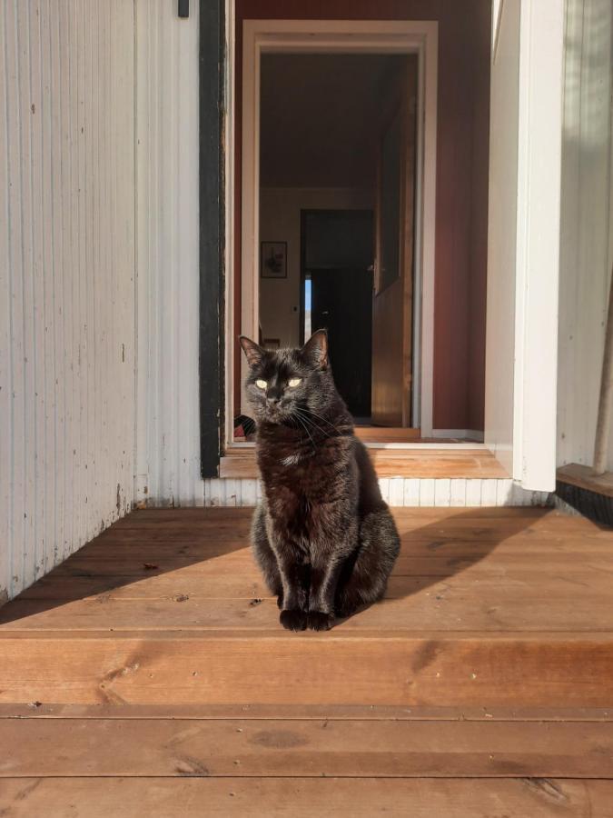 Joey'S Lägenhet Skjervoy Exteriör bild