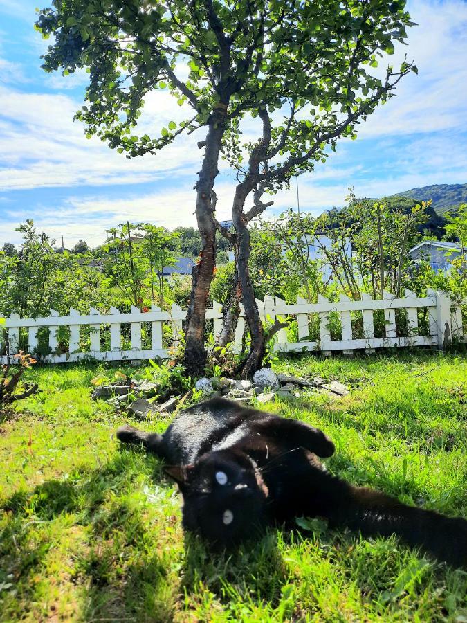 Joey'S Lägenhet Skjervoy Exteriör bild